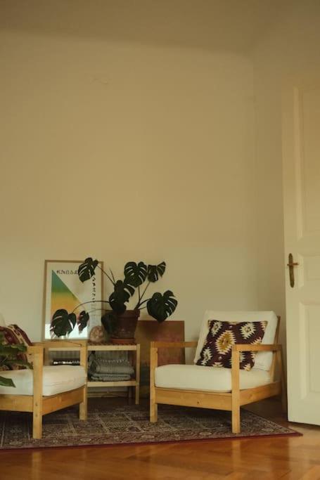 Spacious In Center Apartment Ljubljana