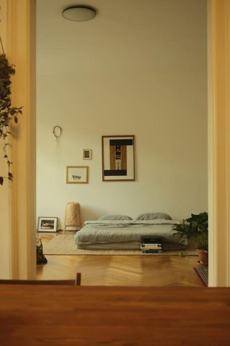 Apartment Spacious In Center