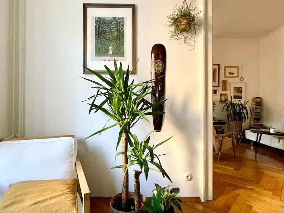 Spacious In Center Apartment