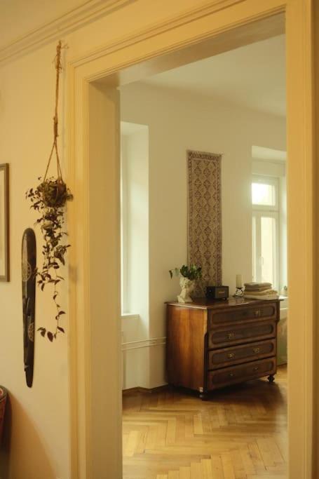 Apartment Spacious In Center *