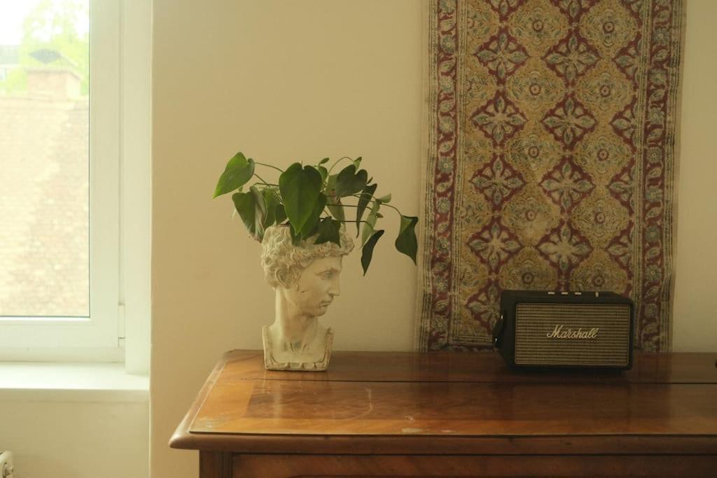 Spacious In Center Apartment Ljubljana