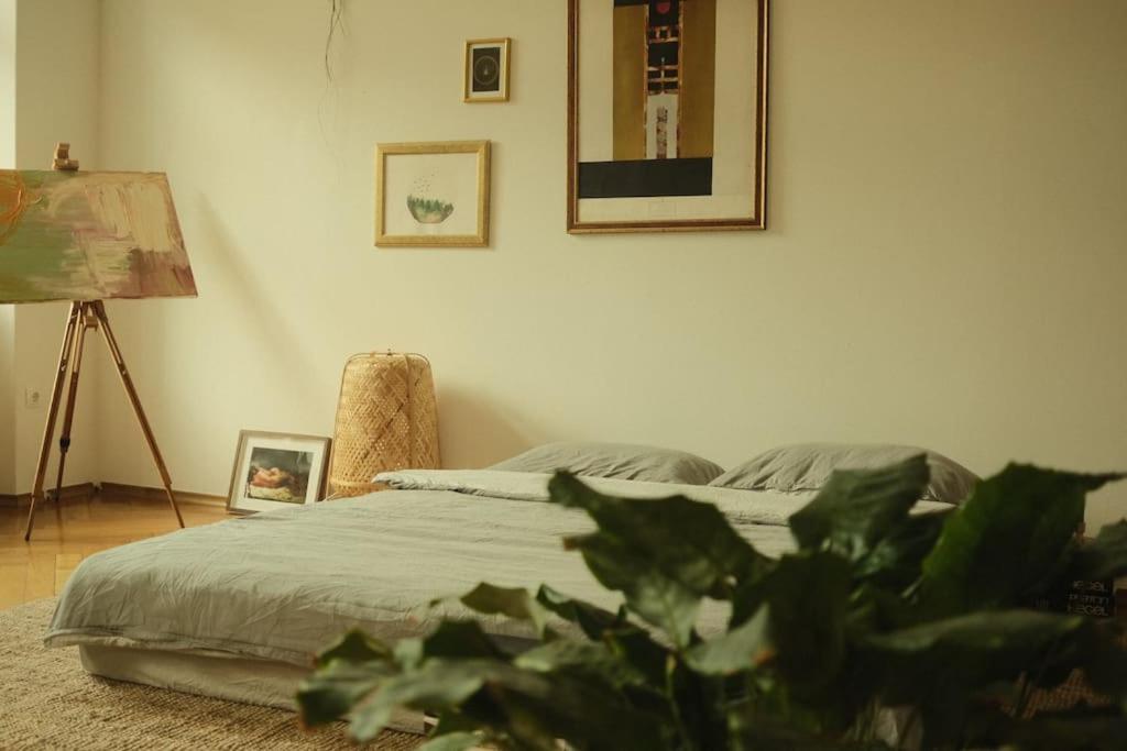 Apartment Spacious In Center *