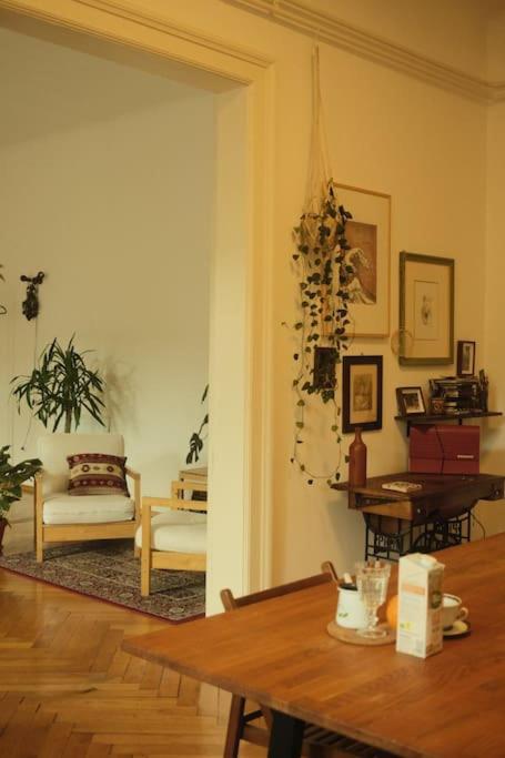 Apartment Spacious In Center